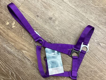 PONY HALTER ECO NY PURPLE-HALTER : PONY For Sale