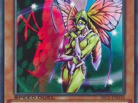 Insect Princess [SBC1-END10] Common For Cheap